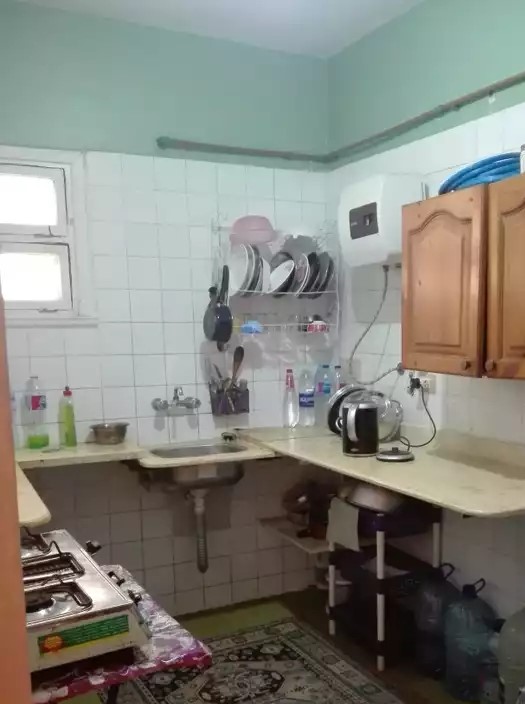 شقه للايجار اليومي للعائلات في العجمي بقرية الزهراء 350 ج يومي